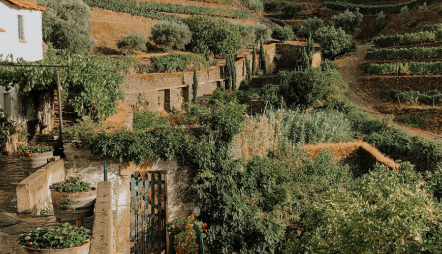 Discover the world's most coveted experiences.. Our curated adventures blend effortless style with insider access, designed for those who travel differently.