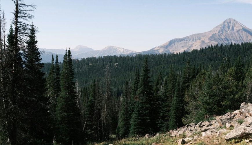 Discover the world's most coveted experiences.. Our curated adventures blend effortless style with insider access, designed for those who travel differently.