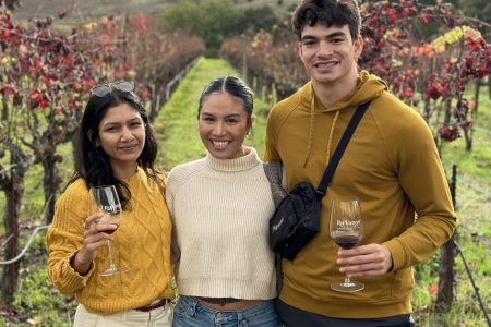 Small Group Napa Valley Tour for Wine Lovers from San Francisco